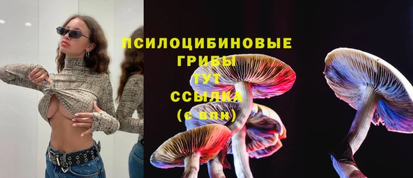 PSILOCYBIN Баксан