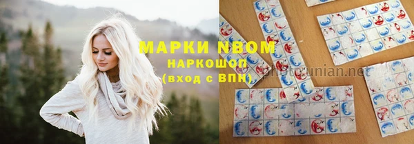 PSILOCYBIN Баксан