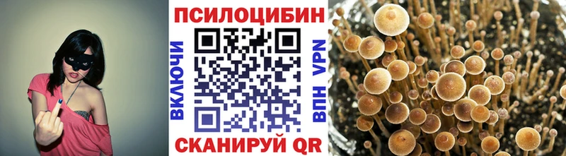 Псилоцибиновые грибы Psilocybine cubensis  Купить где  Жиздра 